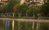 Hà Nội: Lại xuất hiện cá chết ở hồ Hoàng Cầu 